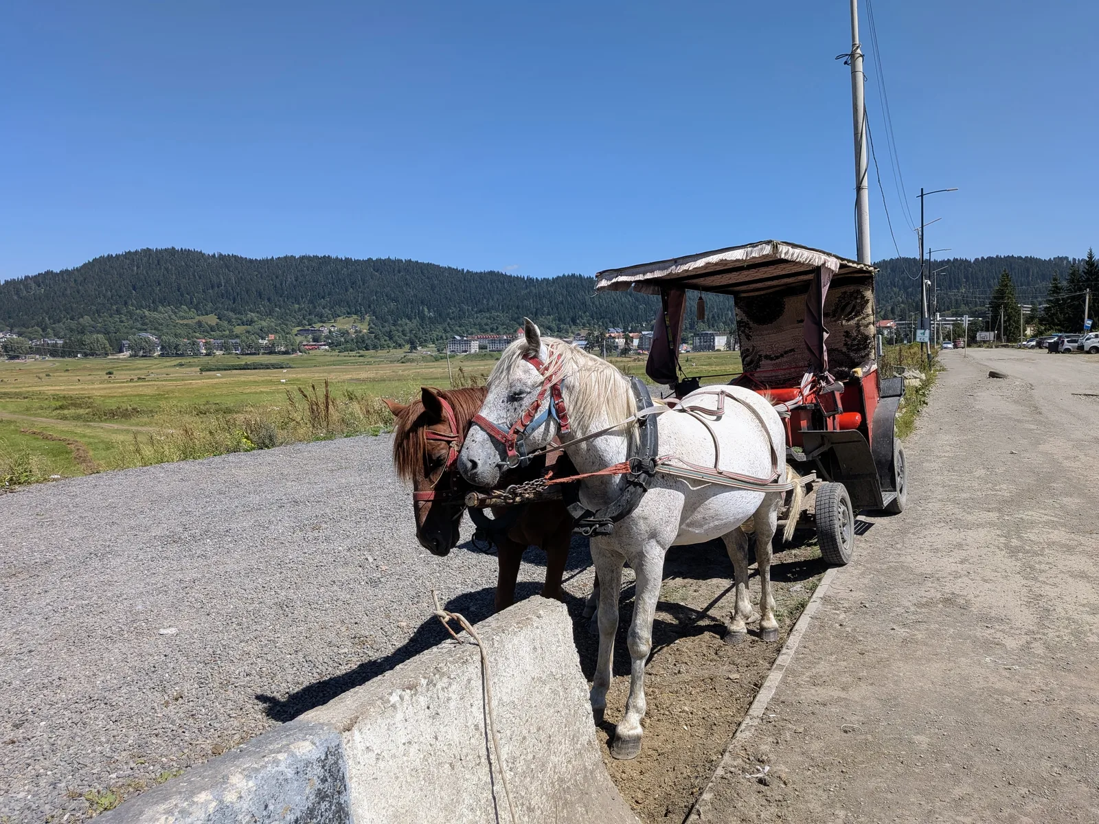 道端の馬車