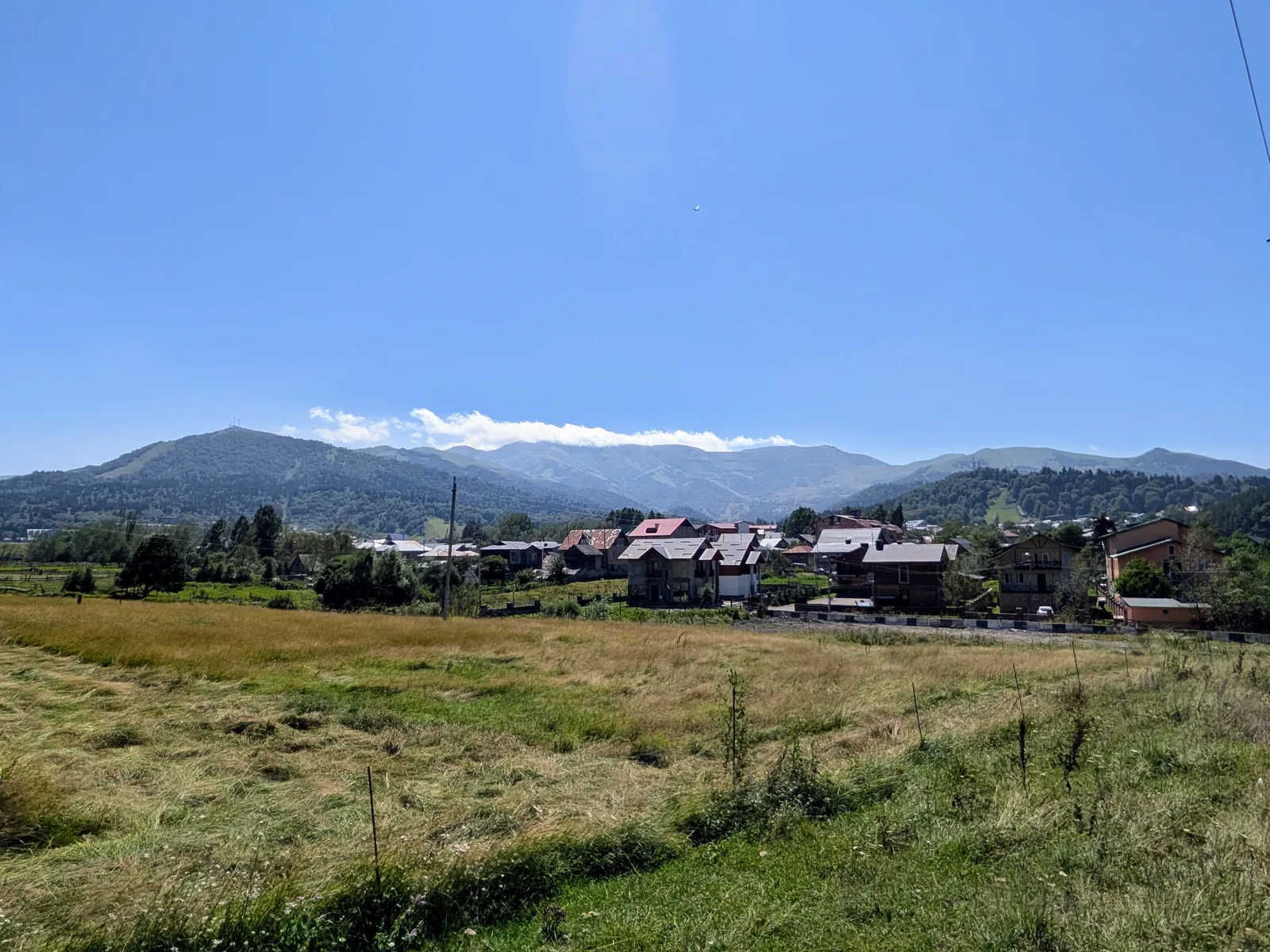 循環路沿いの草原