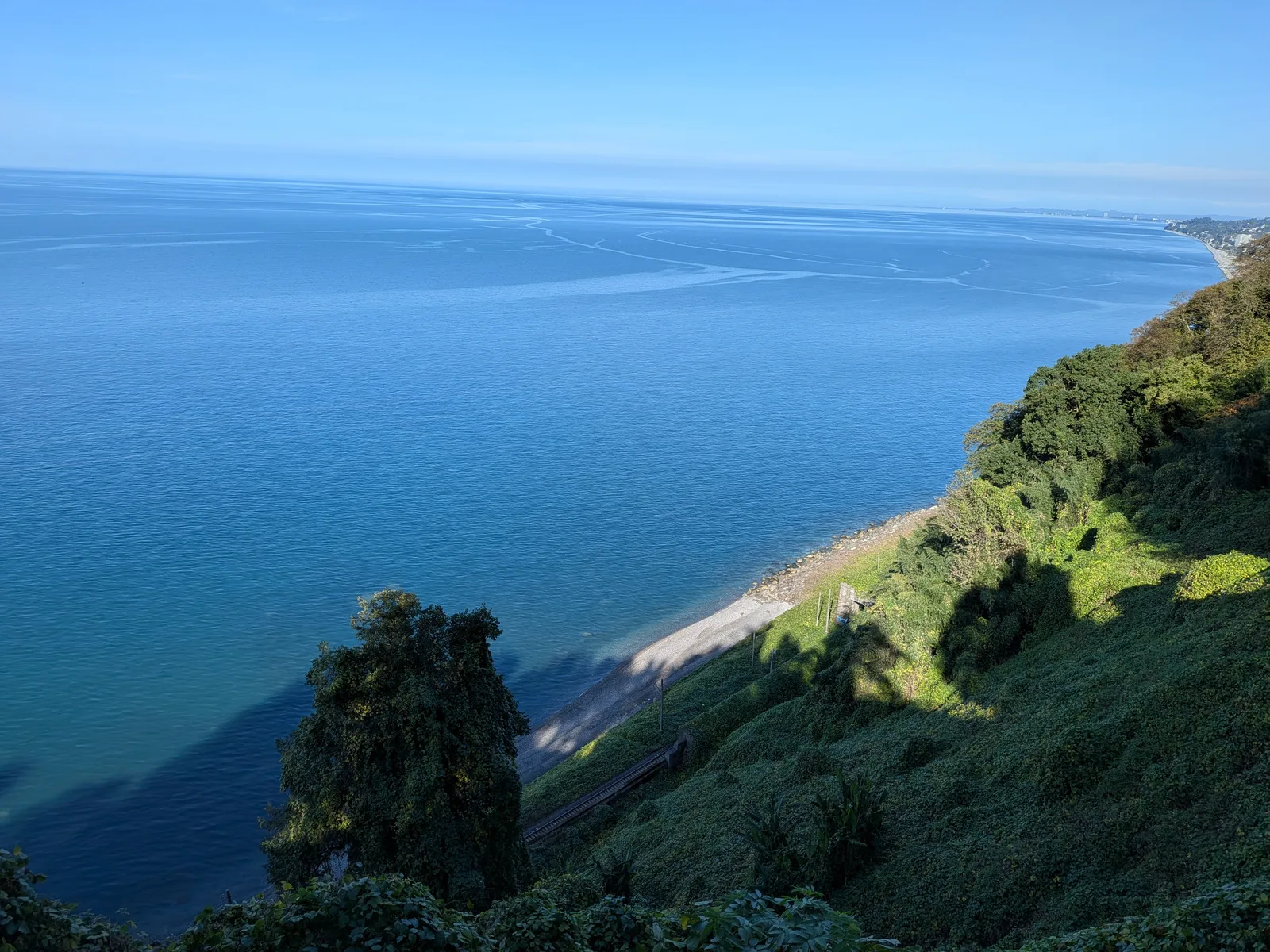 植物園下の海岸