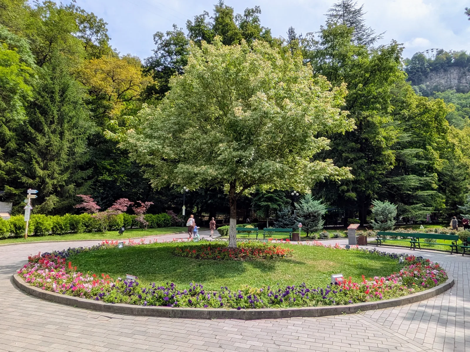 円形の花壇