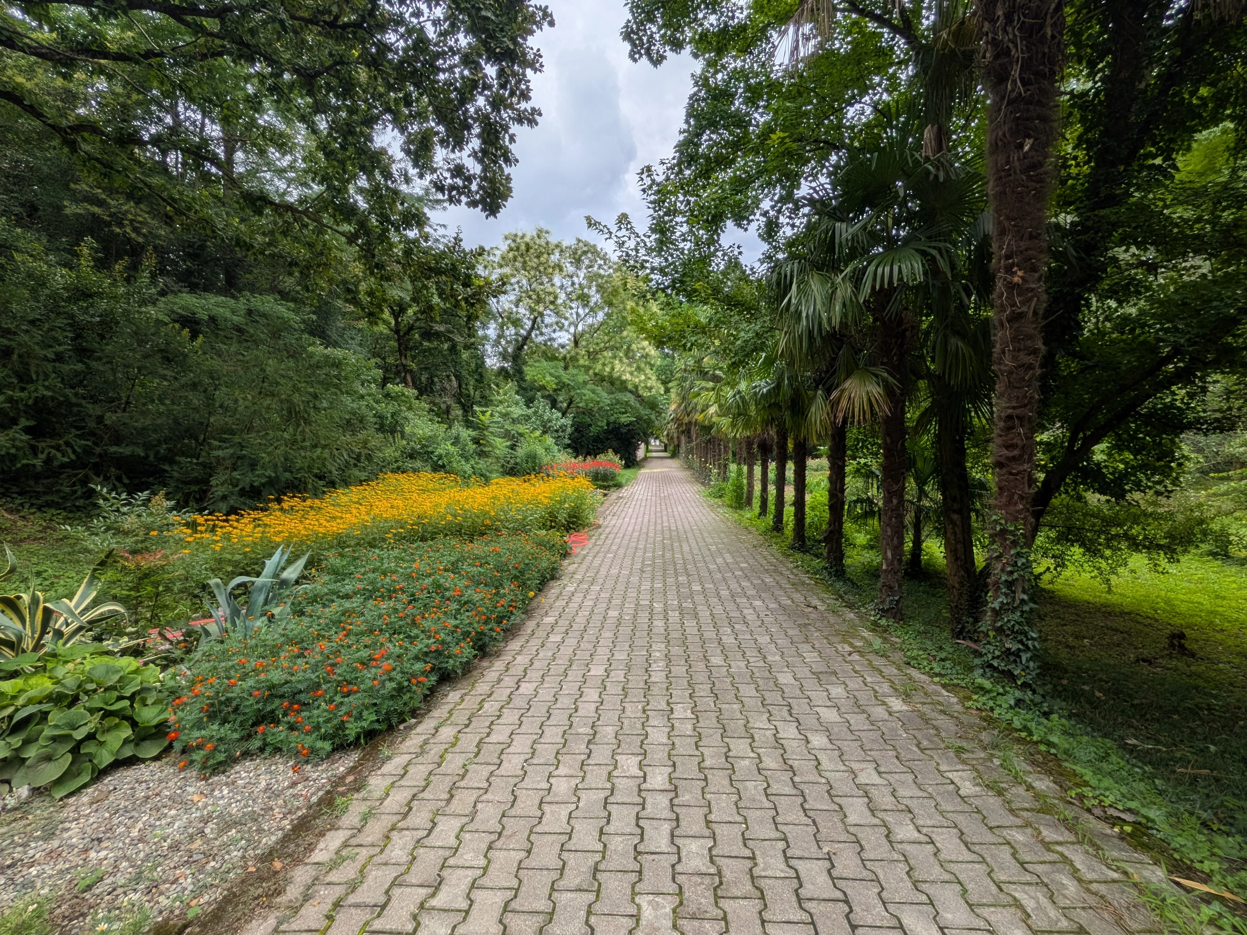 花壇沿いの園路