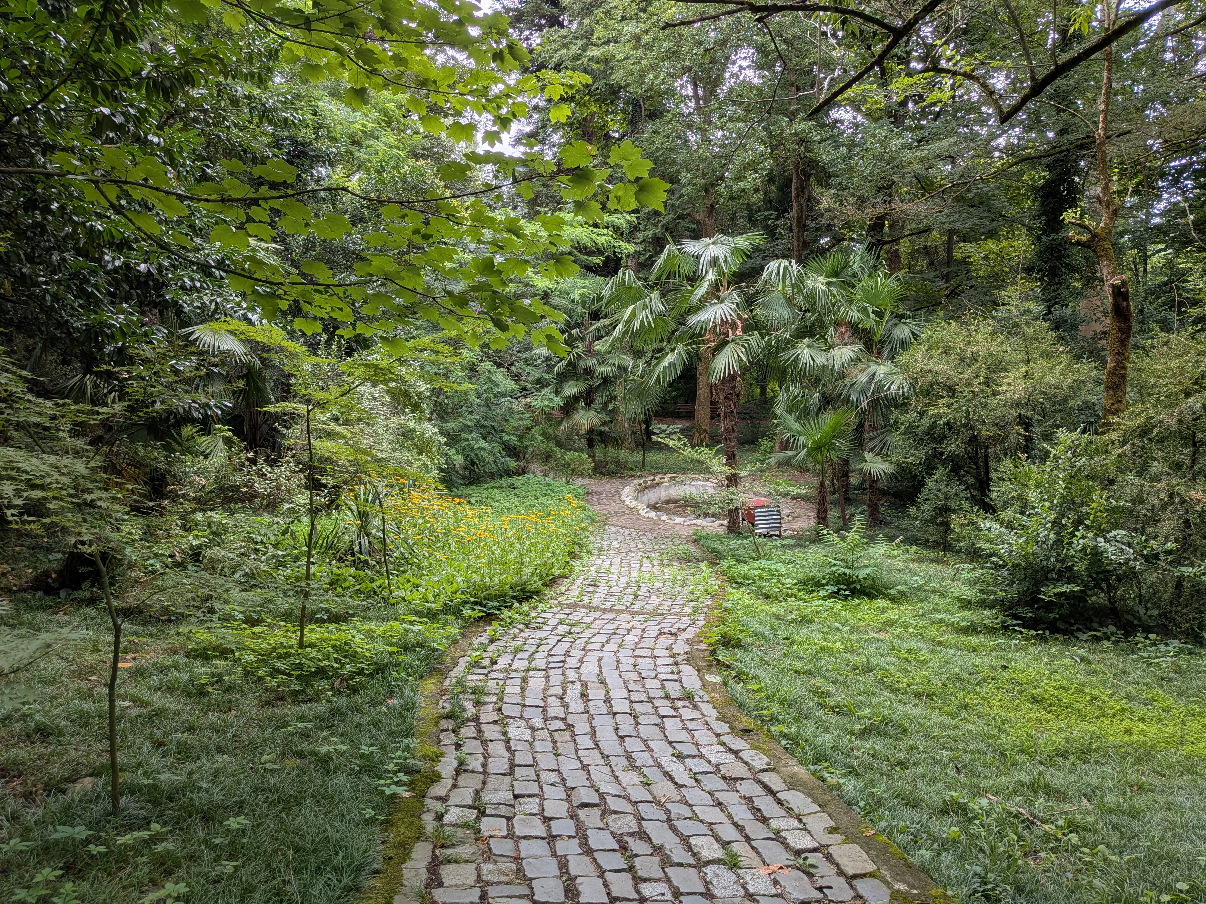 木立の中の曲道