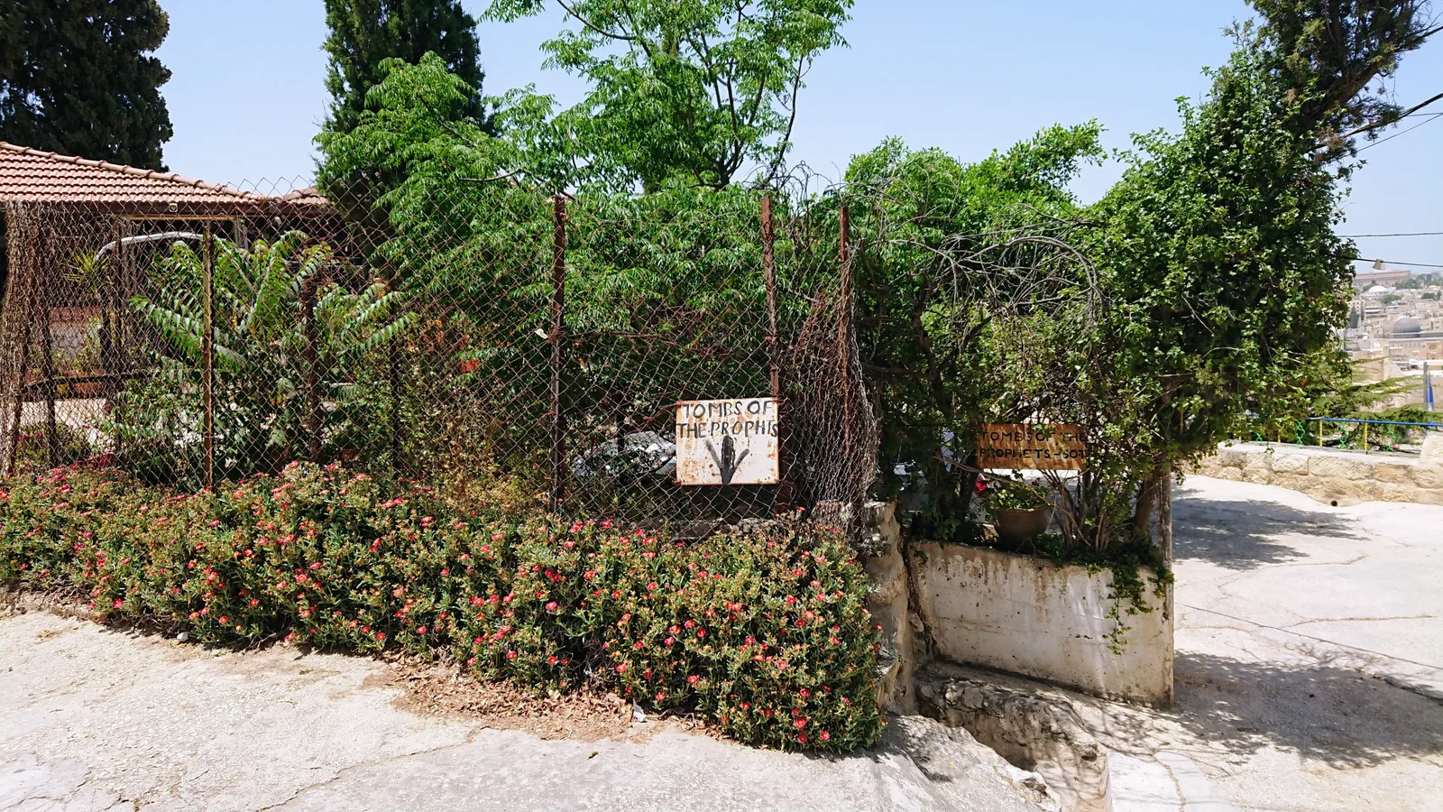Tomb Of The Prophets入口
