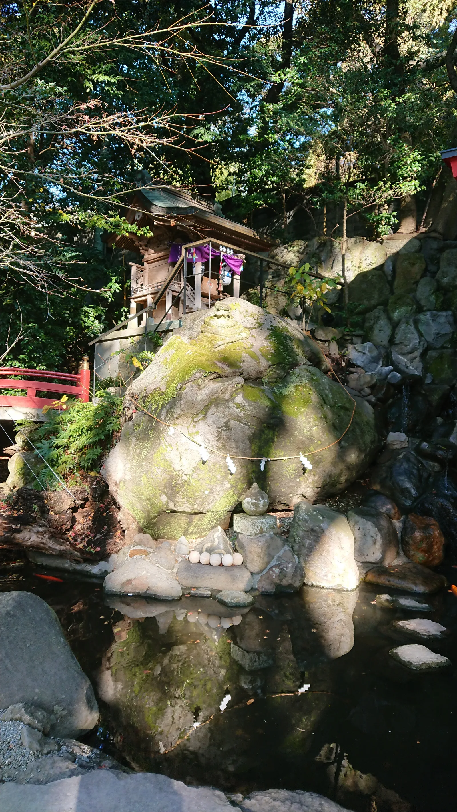 苔むす岩と水面