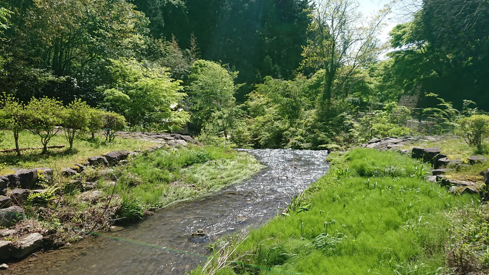 蔦の細道を流れる川