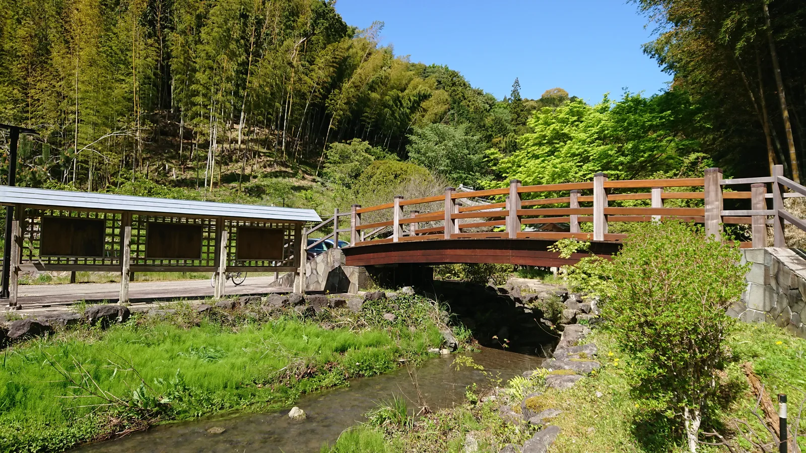 竹林の中の木橋