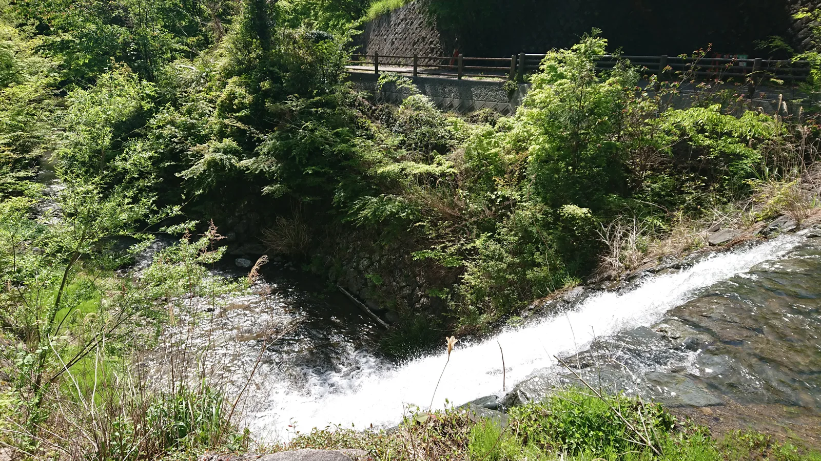 木和田川の小滝