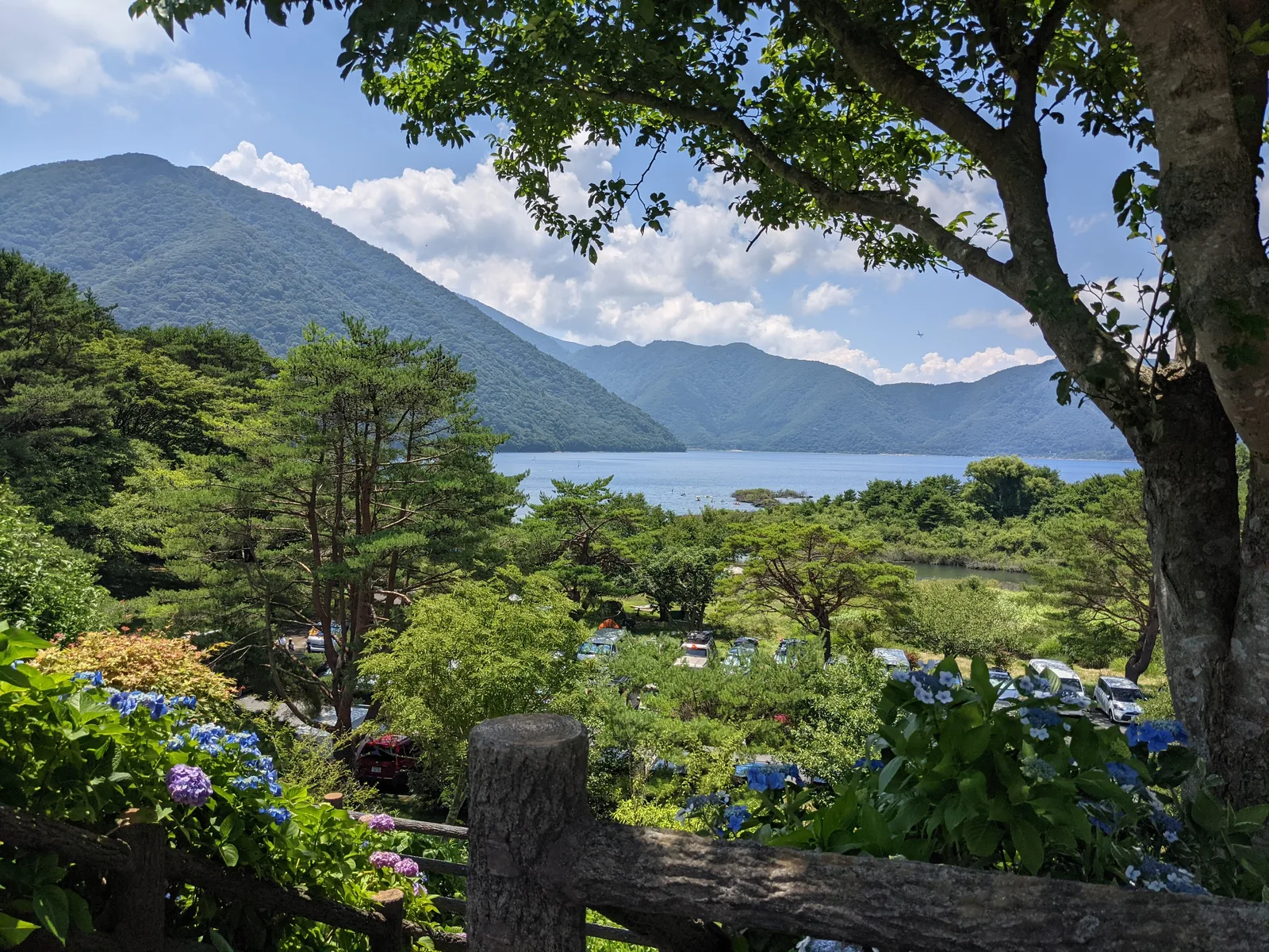 花越しの本栖湖