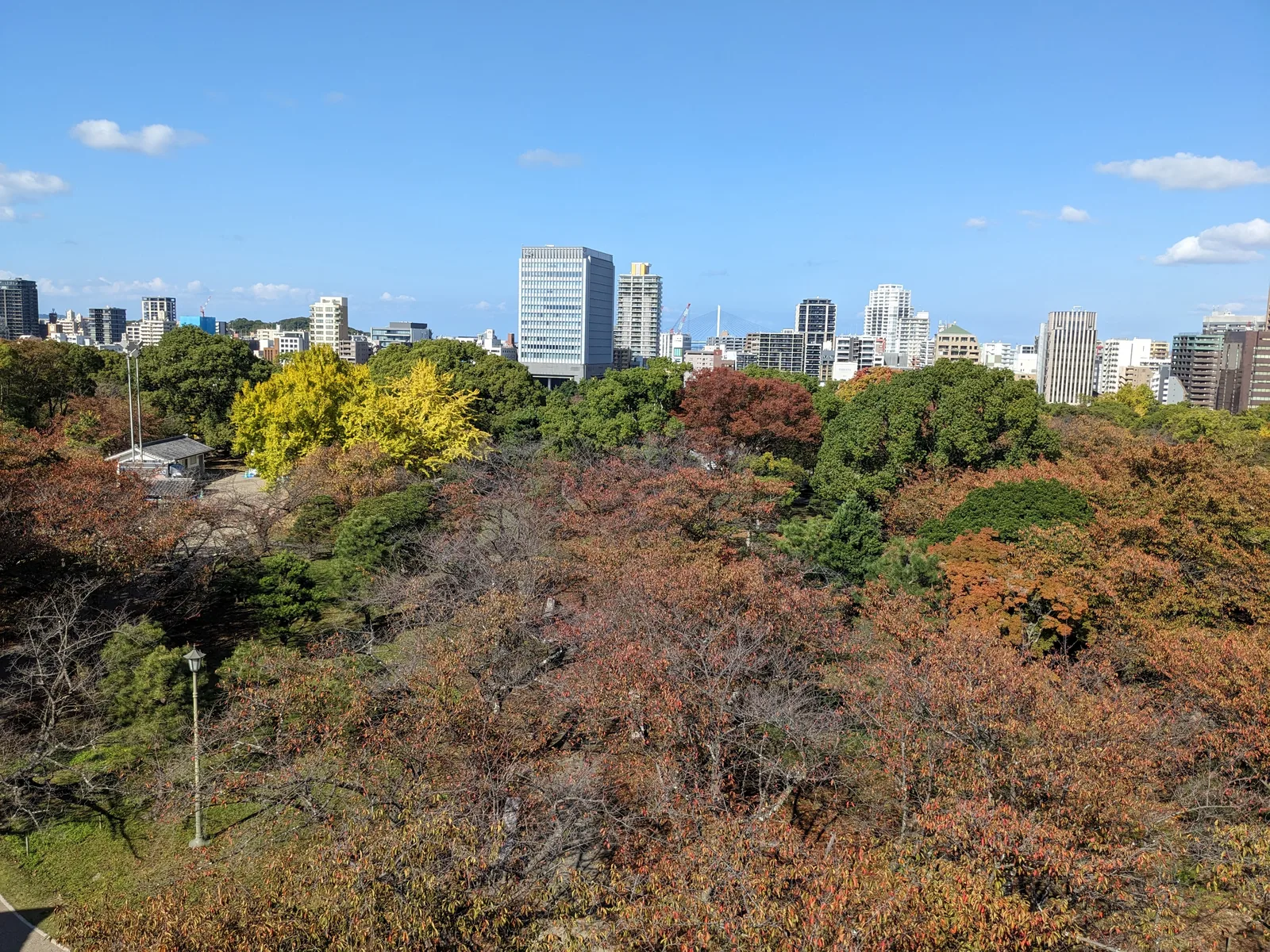 福岡城跡からの市街地