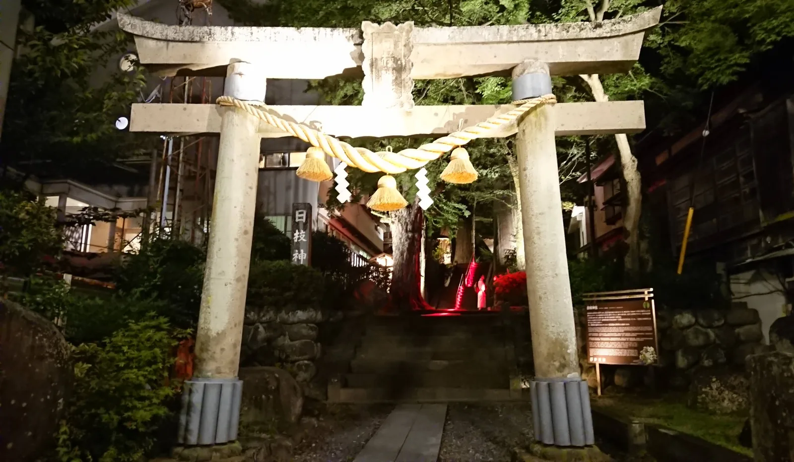 ライトアップされた鳥居