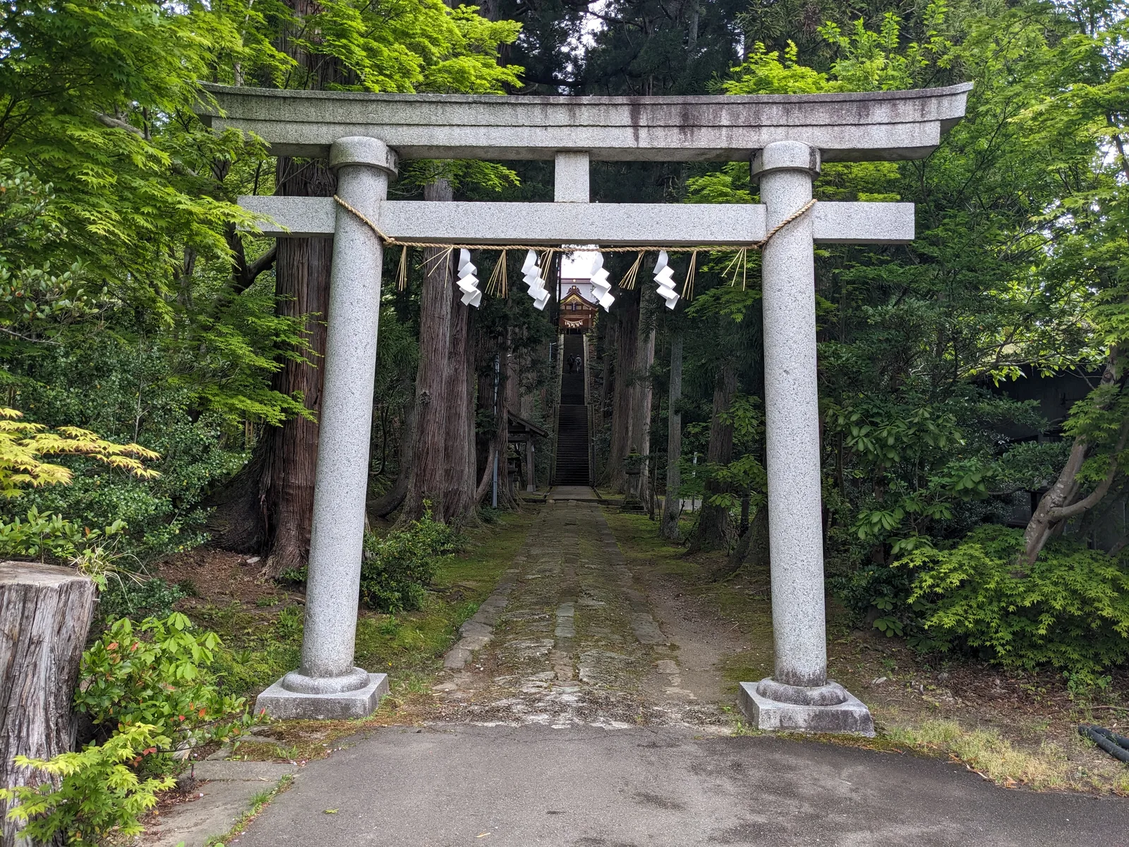 木立の中の石鳥居