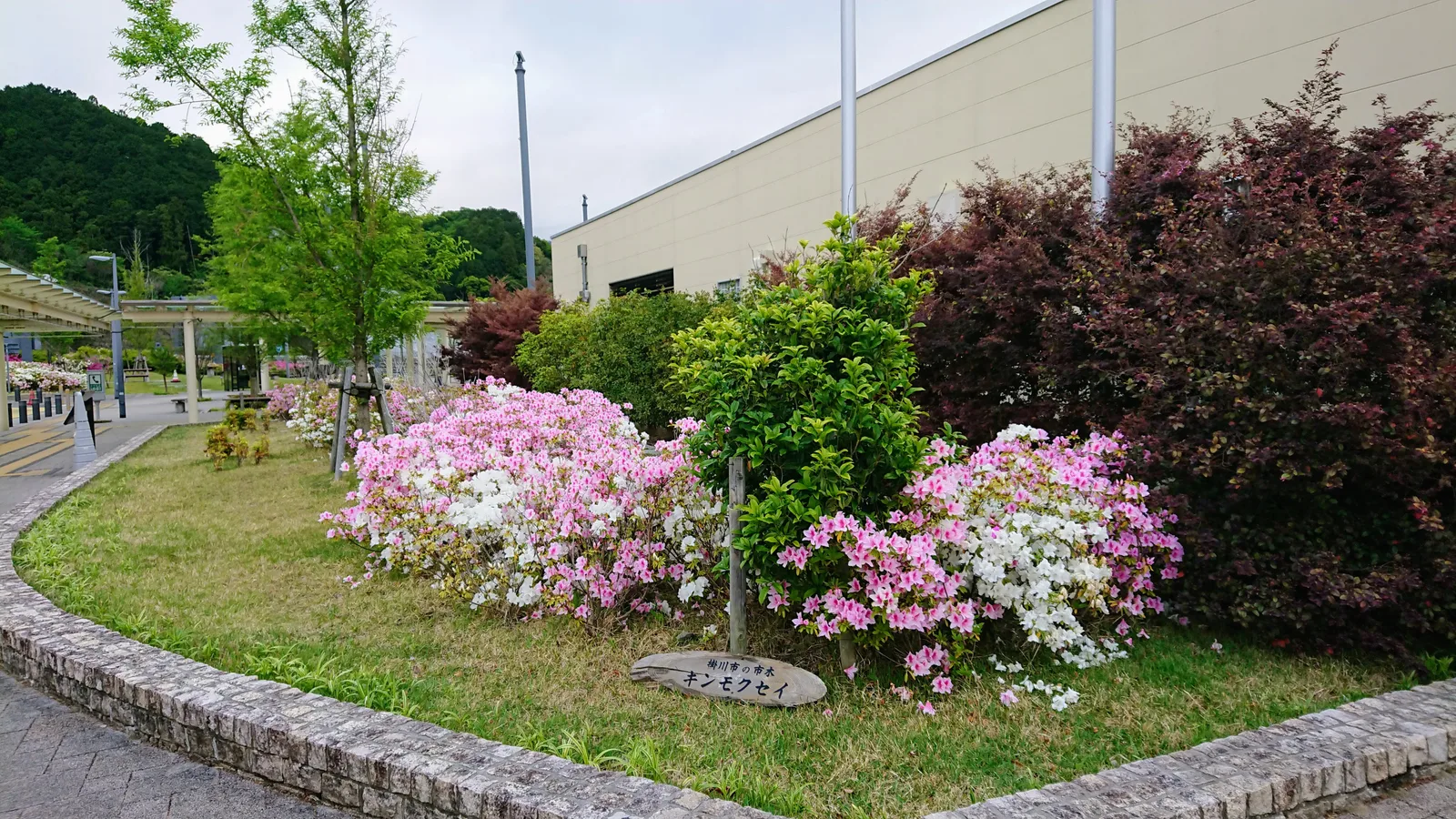花壇の植栽