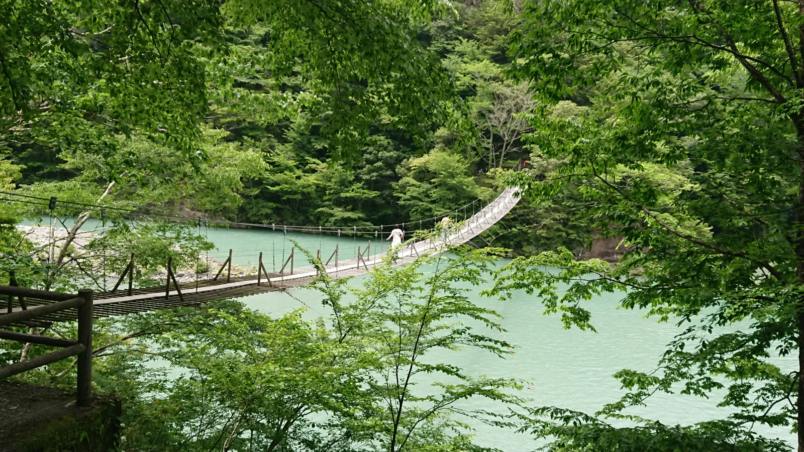 木々に囲まれた吊り橋