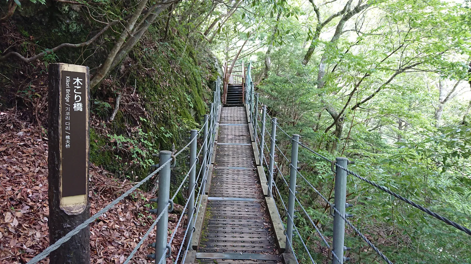 木々の中の木こり橋