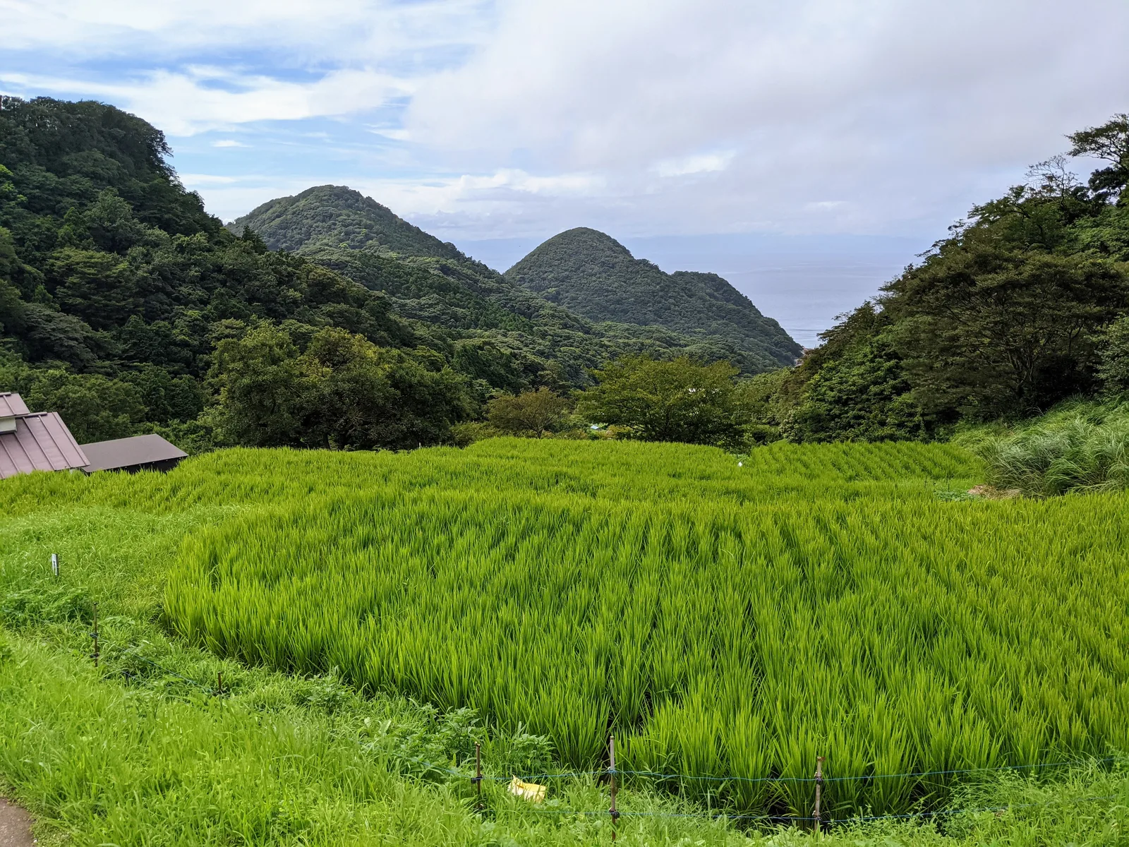 山間に続く石積み田