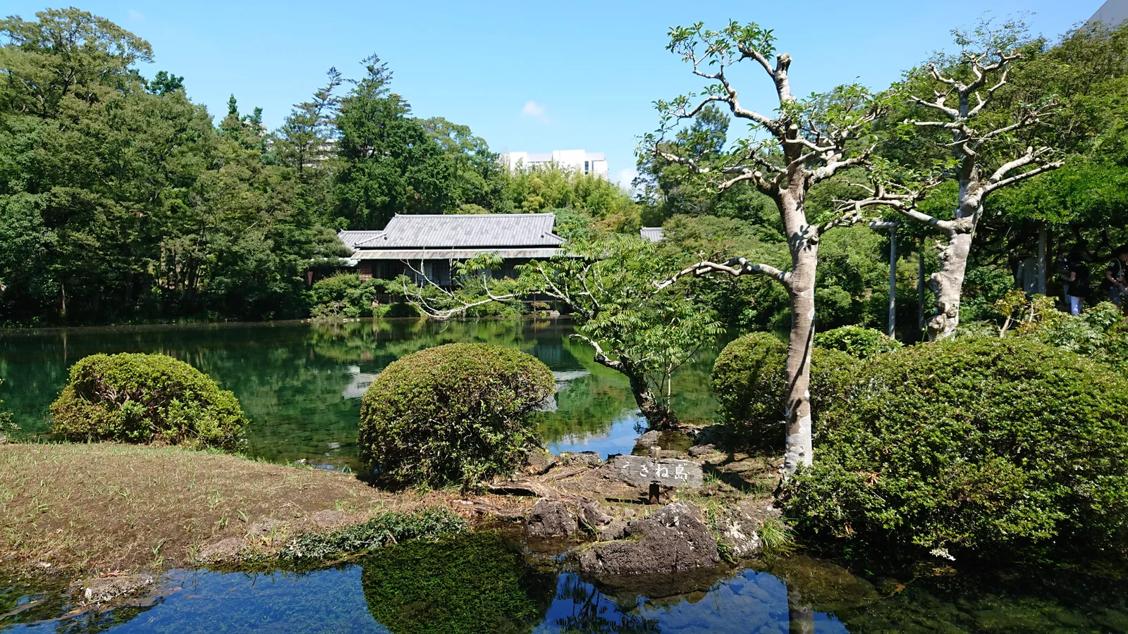 楽寿園の池と小島
