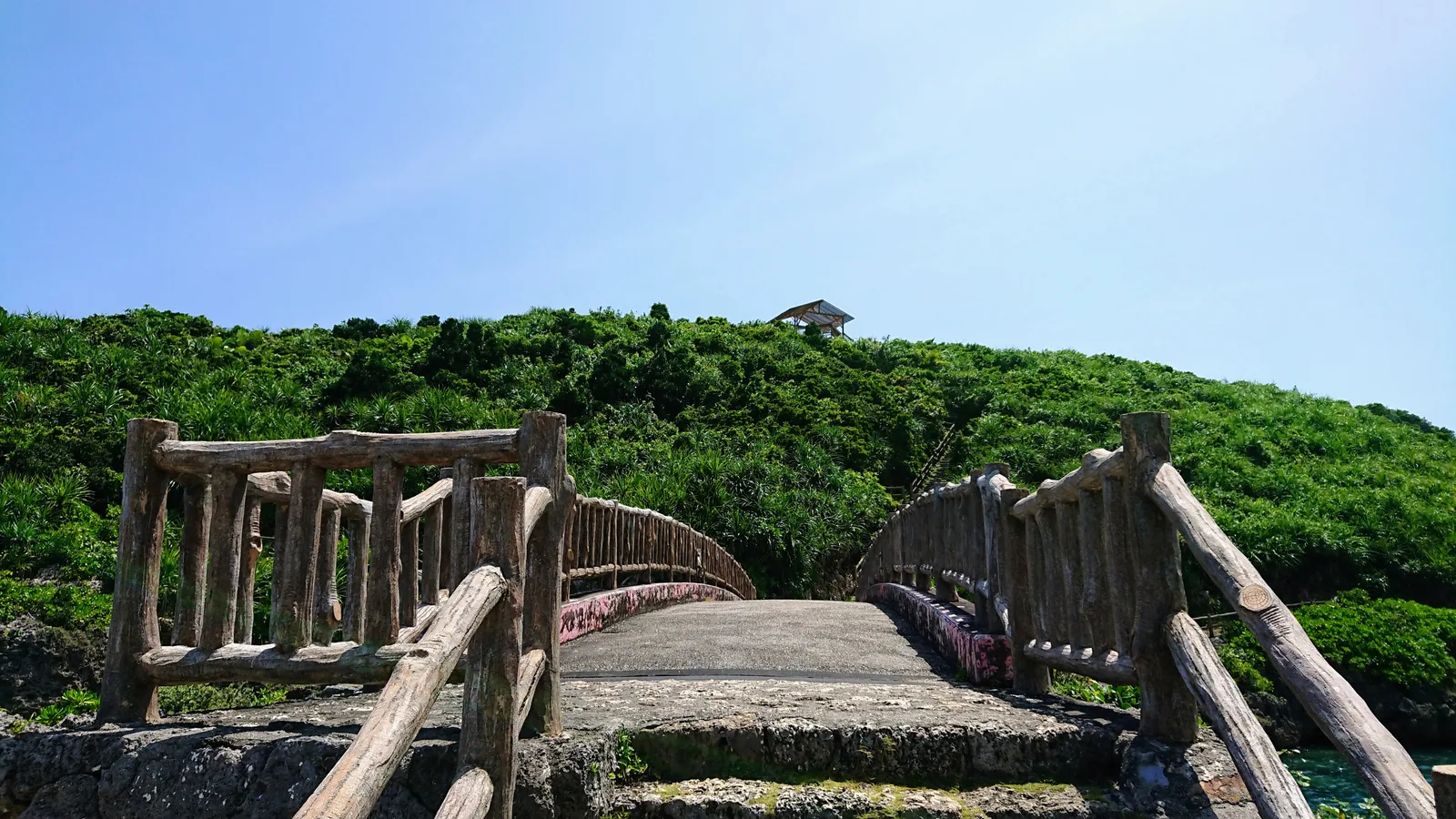 展望台へ続く木道