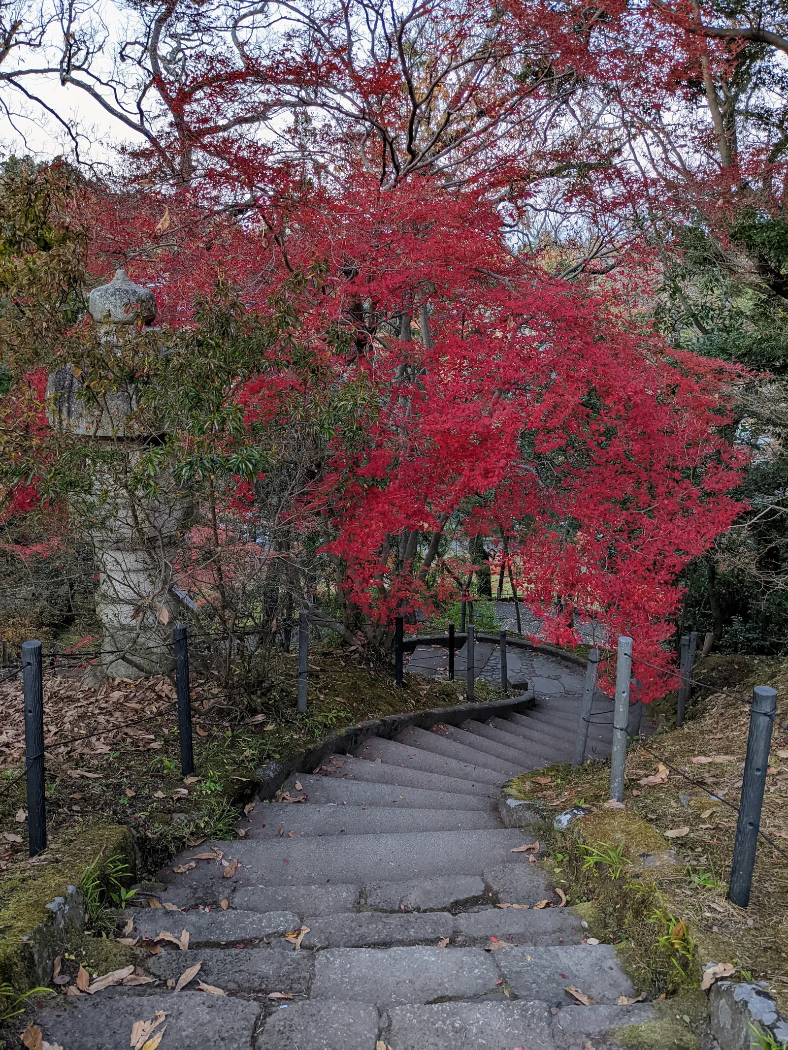 紅葉の階段
