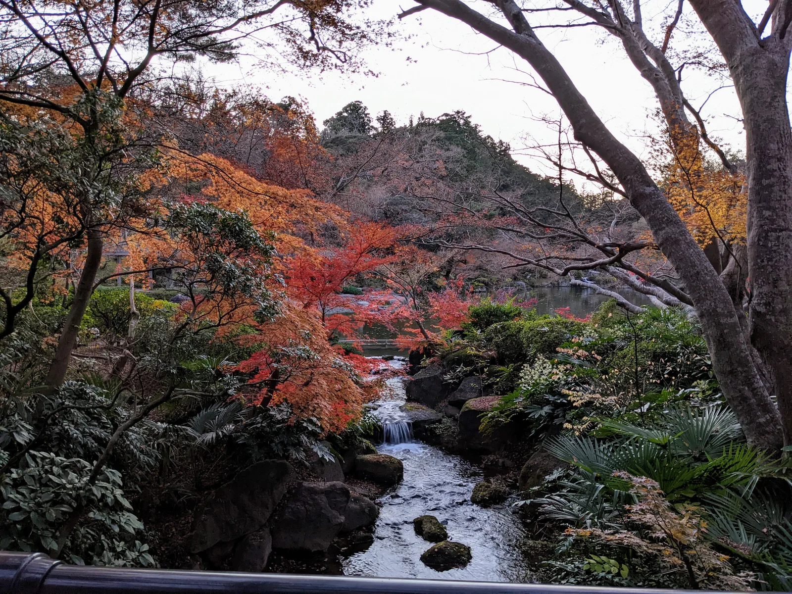 紅葉沿いの水流