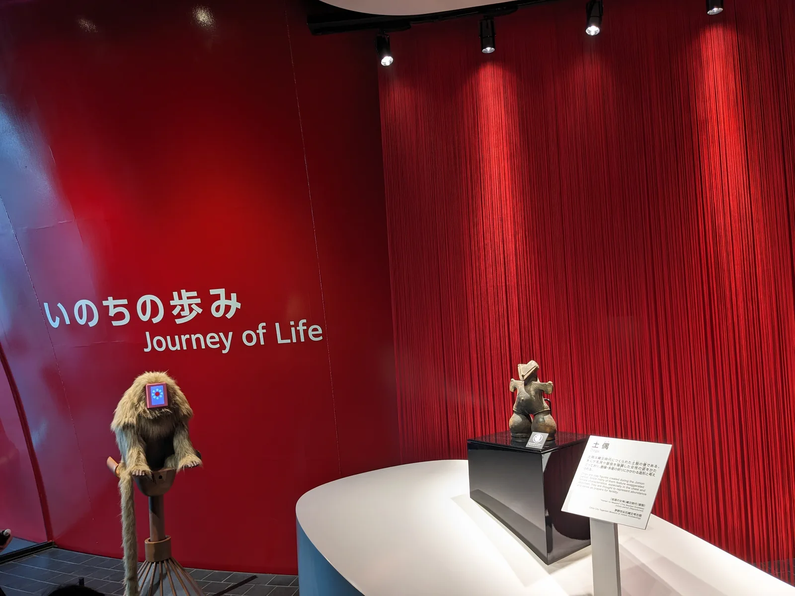 いのちの歩みの展示
