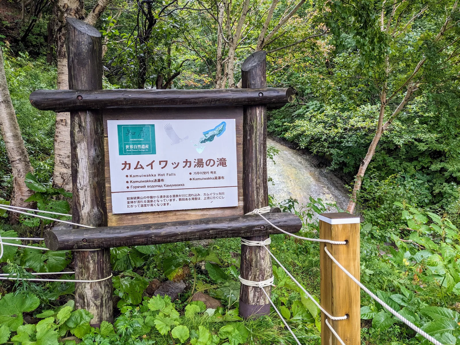 森の中の案内板