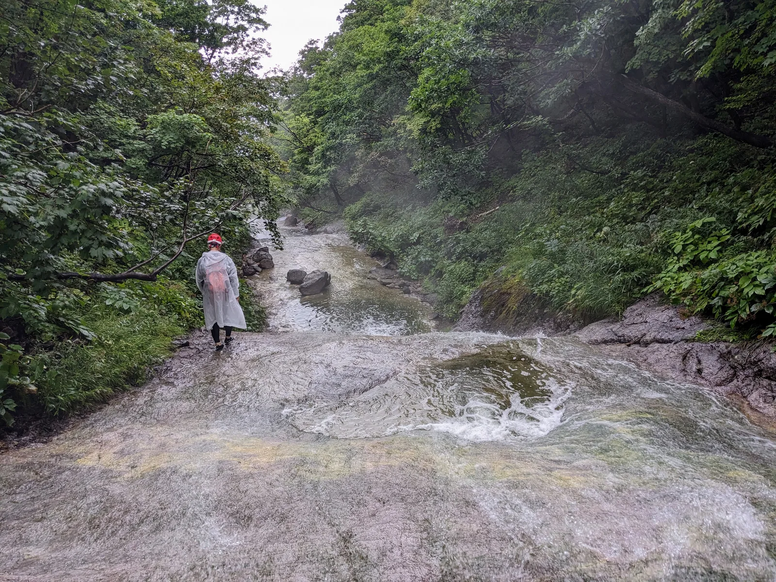 温泉の沢を上る道