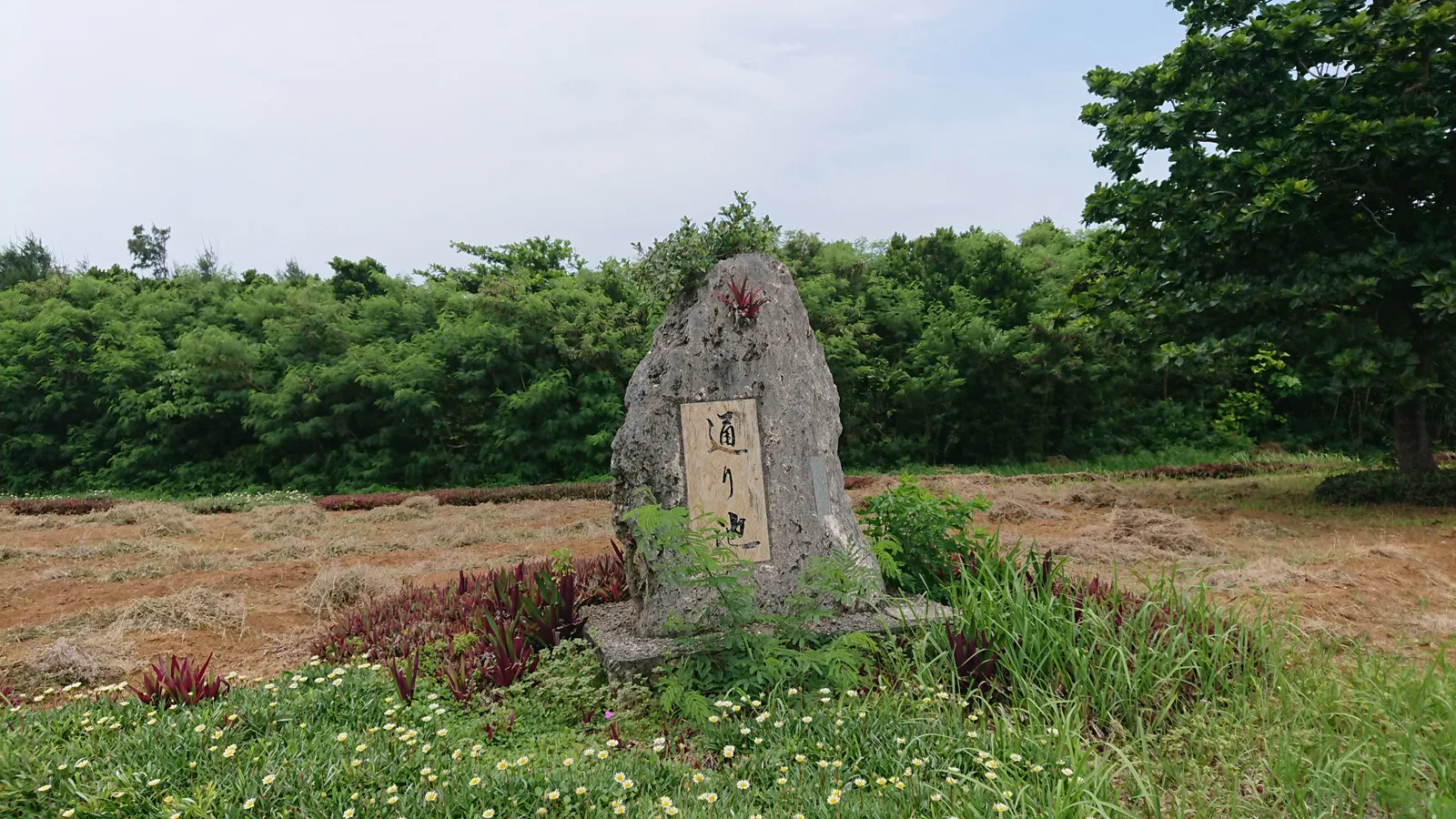 通り池への石碑
