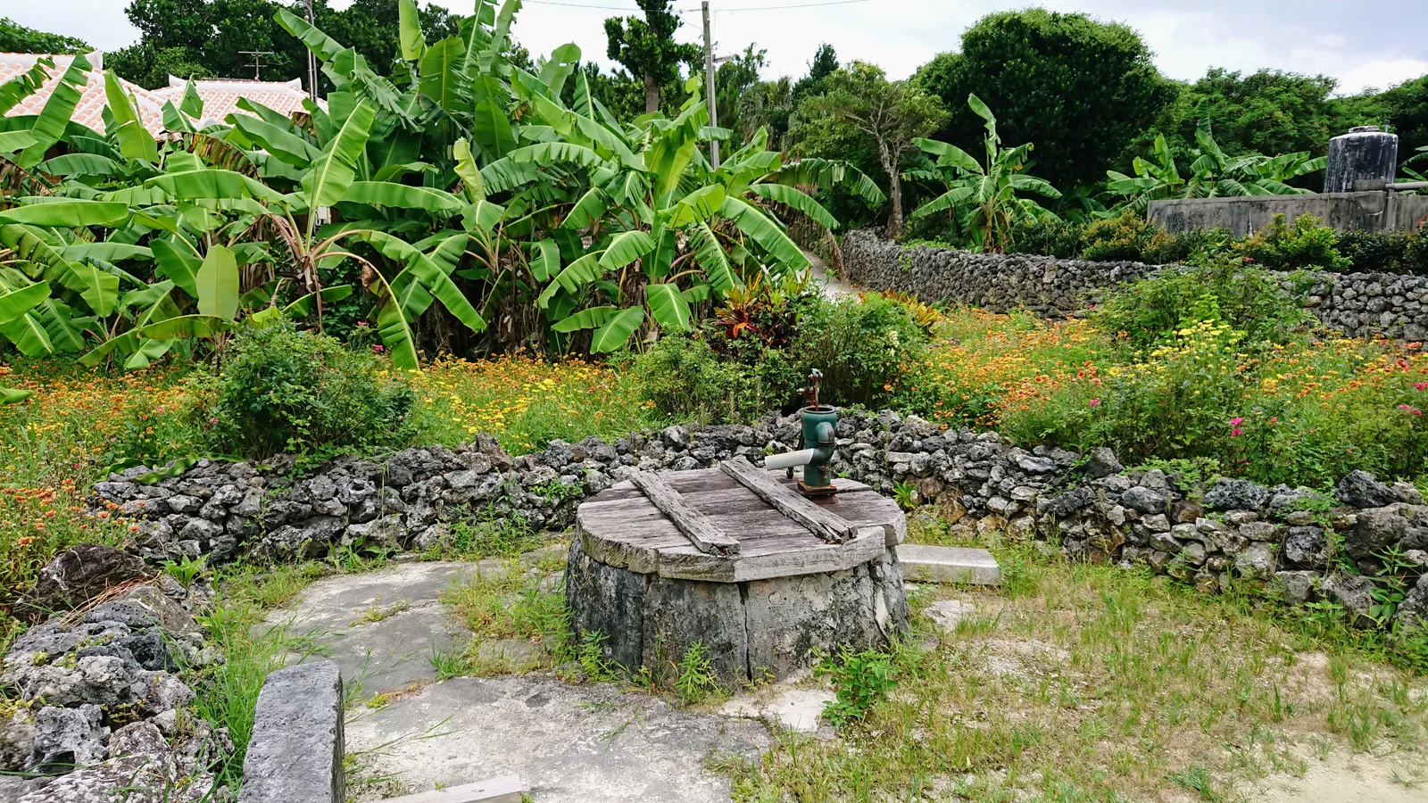 昔ながらのくみ井戸