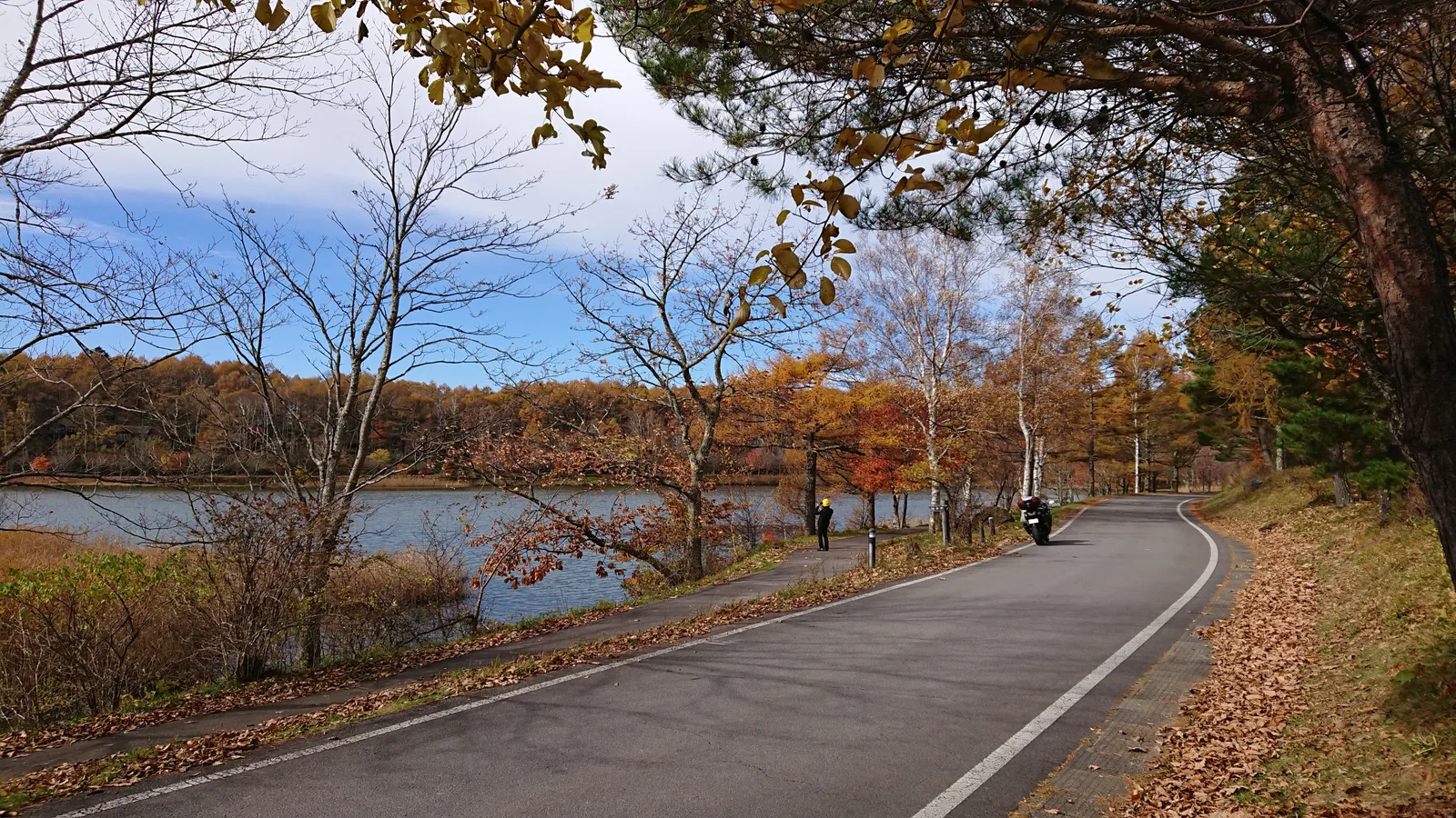 湖畔の散歩道