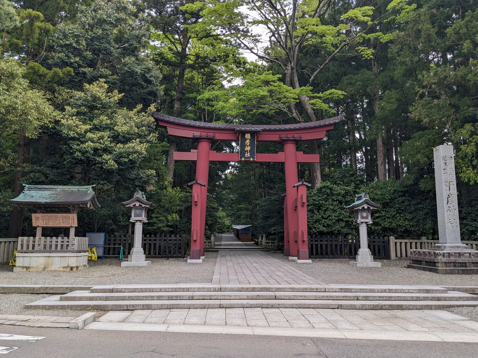 森の中の赤鳥居