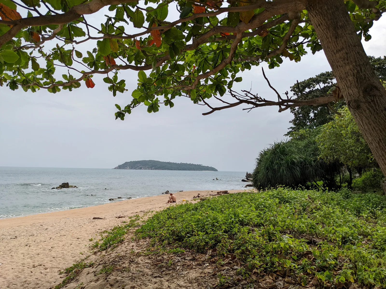 緑に囲まれた海岸