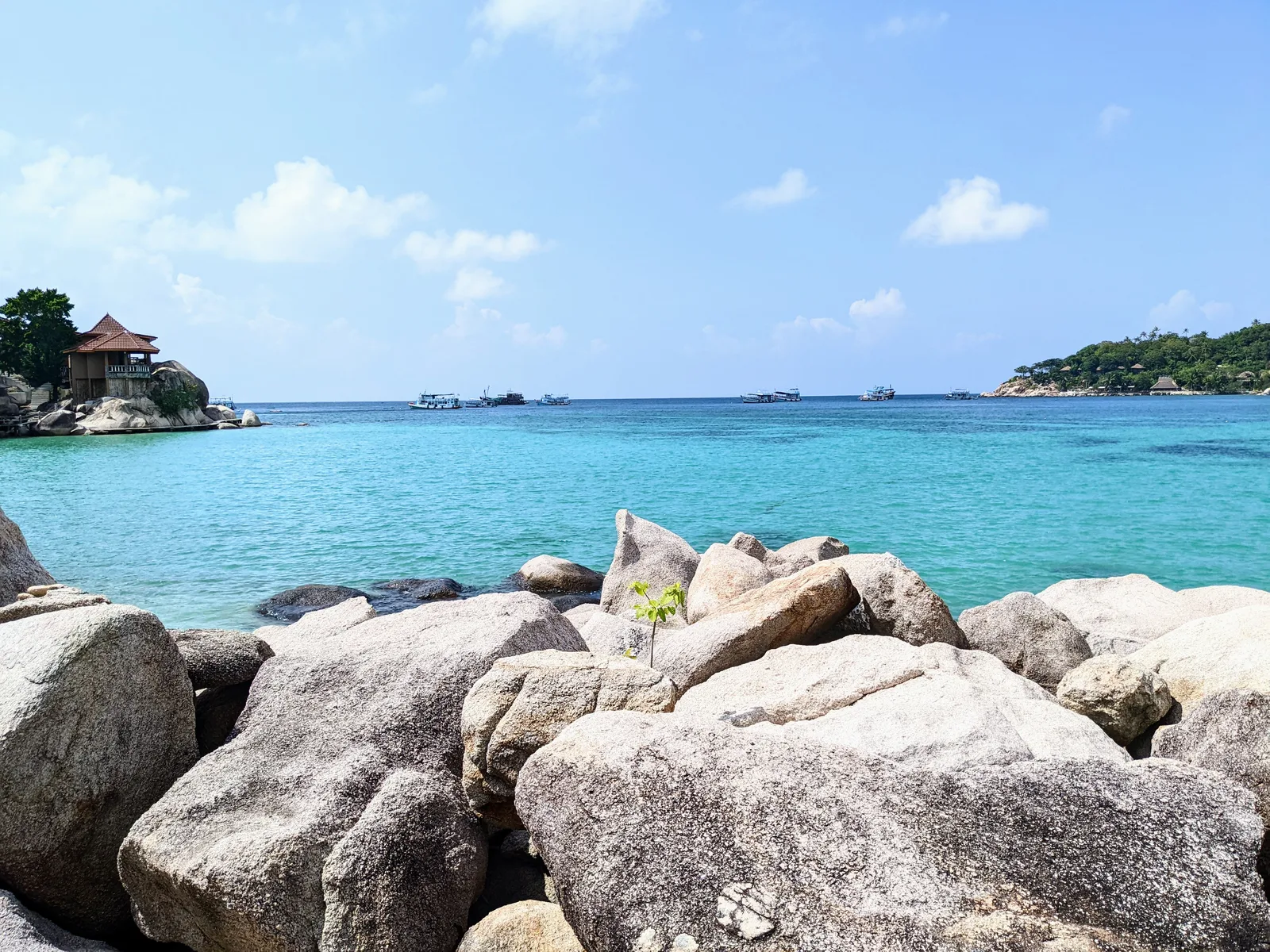 岩場から望む海